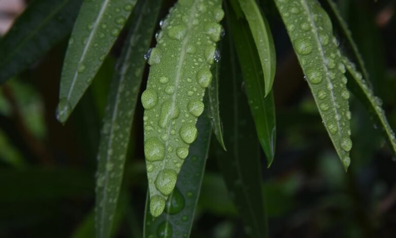 drop rate duration analysis