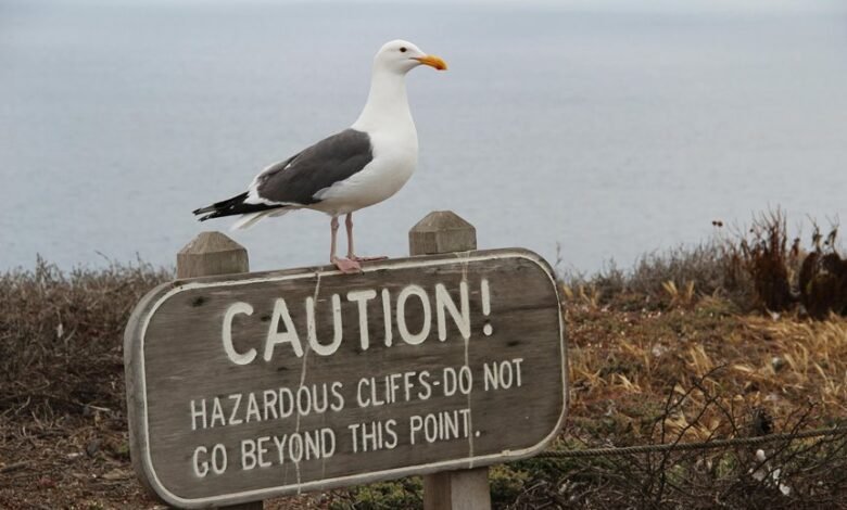 xovfullmins safety concerns addressed