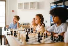 activity intelligence report summary