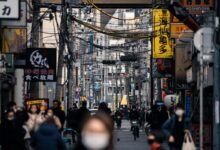 market trends and insights