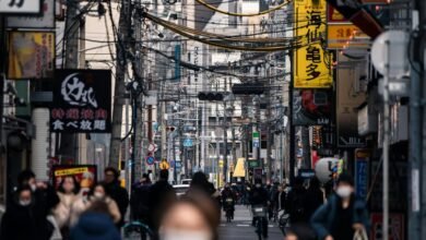 market trends and insights