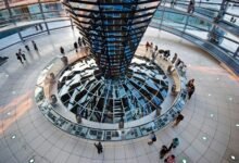 structured activity dashboard overview