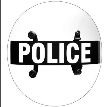 Securing the Modern Tycoon: Addressing Physical and Reputational Threats