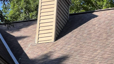 Twelve Years Without Anyone Looking At The Roof