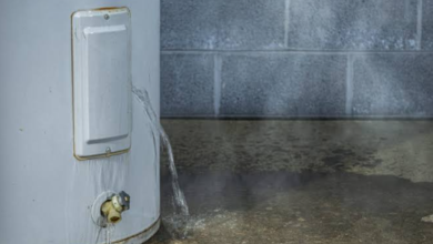 A Full House Outgrew Its Water Heater Before It Broke